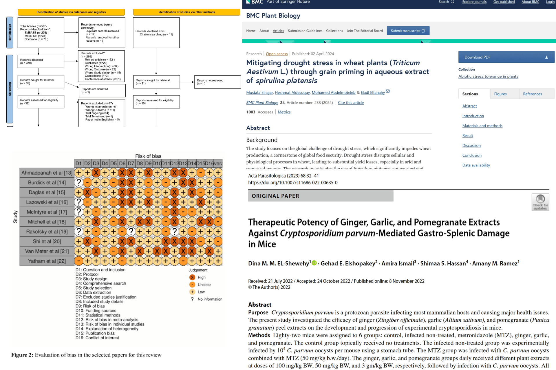 Systematic Reviews & Meta-Analyses